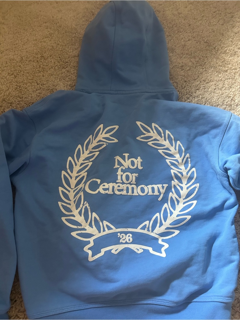 H&M Light Blue Hoodie with White Laurel Graphic